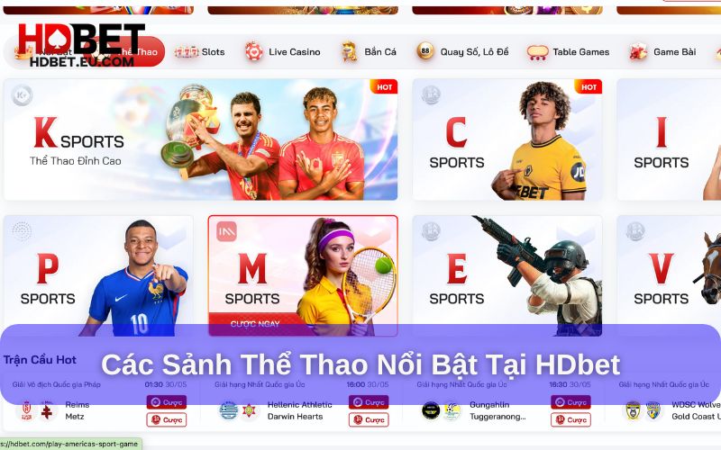 Các sảnh chơi thể thao HDbet Các sảnh chơi thể thao HDbet