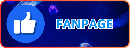 liên hệ fanpage hdbet