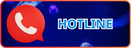 liên hệ hotline hdbet