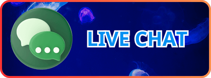liên hệ live chat hdbet