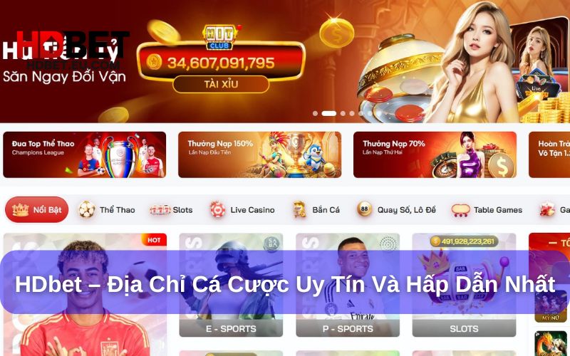 HDbet - Nền tảng cá cược trực tuyến hàng đầu